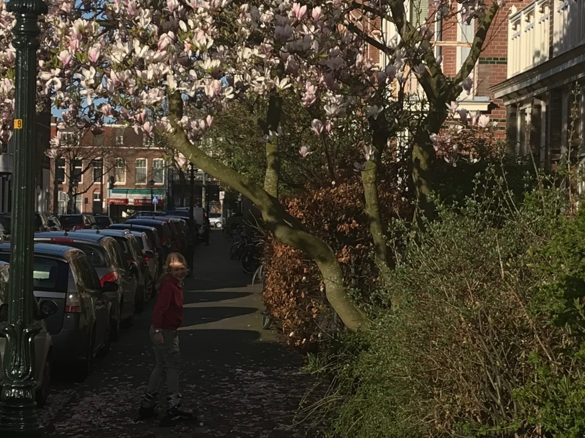 Straatfoto van de Galileistraat